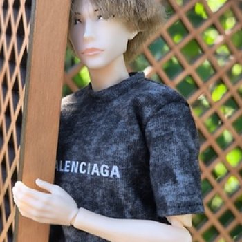 Июнь с Петворкс