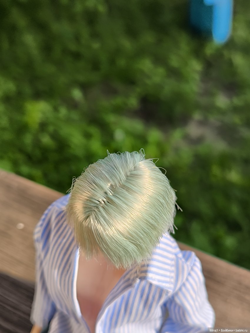 СяЧжи — Куклы Momoko и Ruruko (Petworks