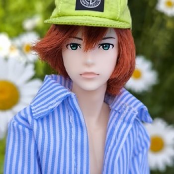 Petworks - лето 2025