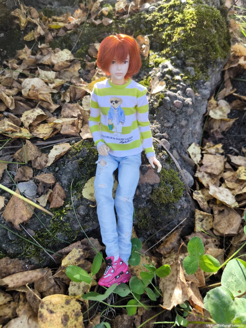 Petworks - август — Куклы Momoko и Ruruko (Petworks (фото 2)