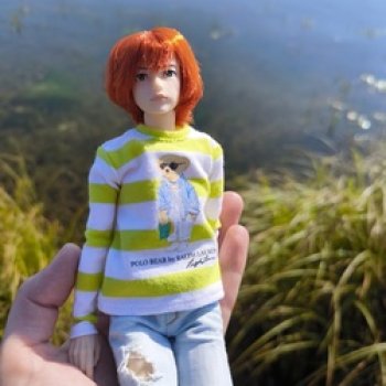 Petworks - август