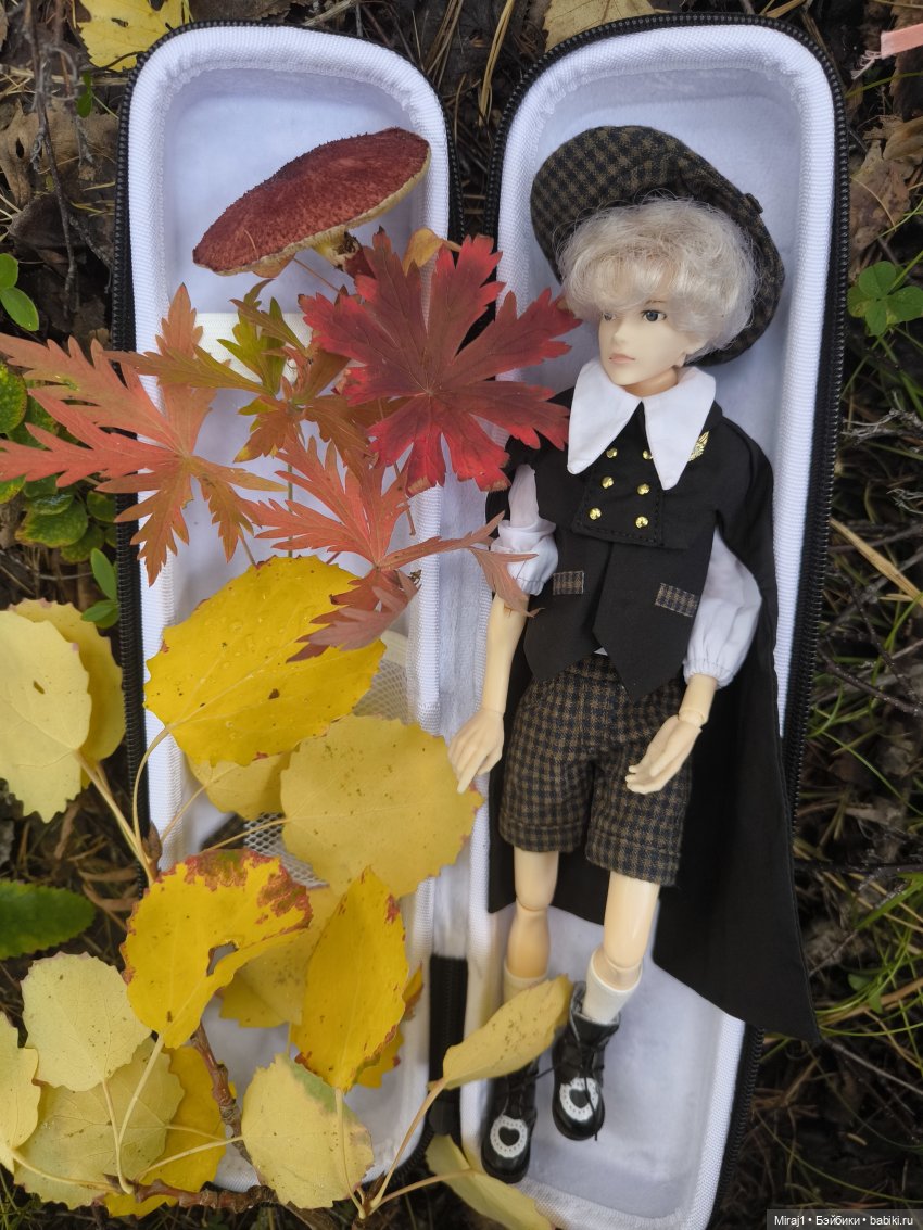 Осень с Сяо — Куклы Momoko и Ruruko (Petworks (фото 3)