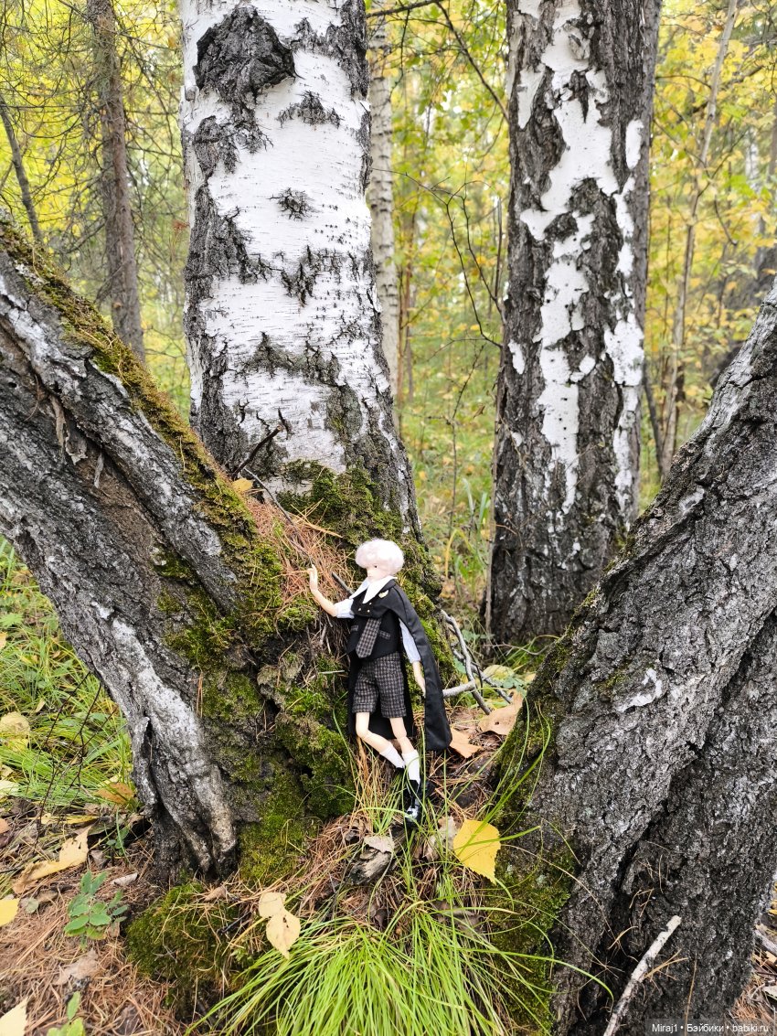 Осень с Сяо — Куклы Momoko и Ruruko (Petworks (фото 2)