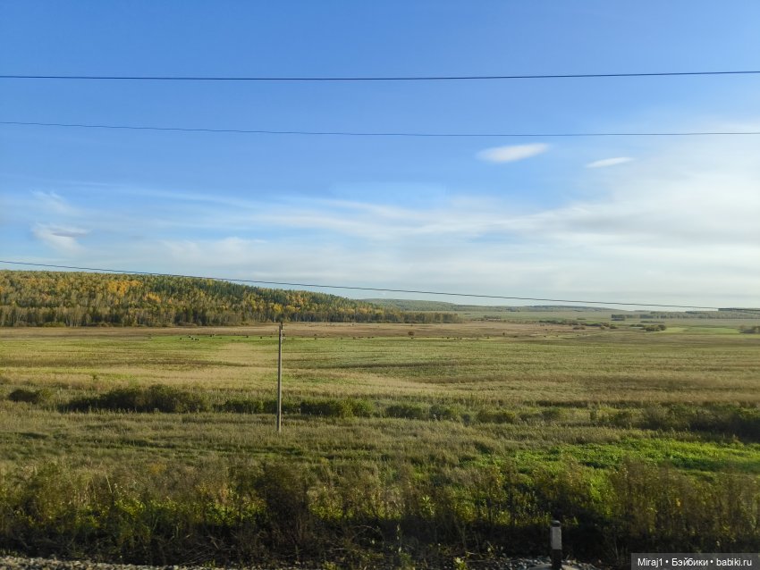 Байлу в Красноярске часть 1 (фото 2)