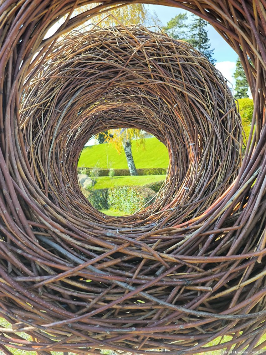 Байлу в Красноярске часть 2 (фото 6)