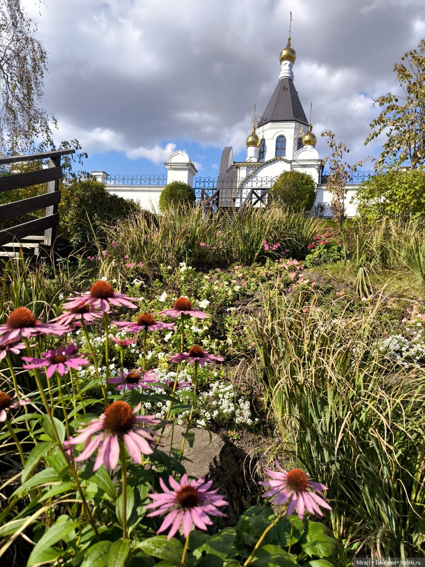 Байлу в Красноярске часть 2 (фото 5)