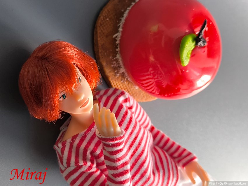 Январь 2026 — Куклы Momoko и Ruruko (Petworks (фото 3)