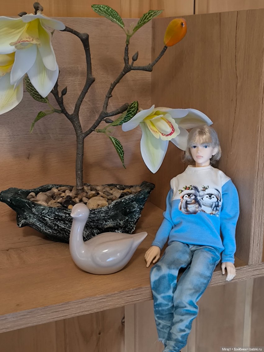 Мальчики на Байкале — Куклы Momoko и Ruruko (Petworks