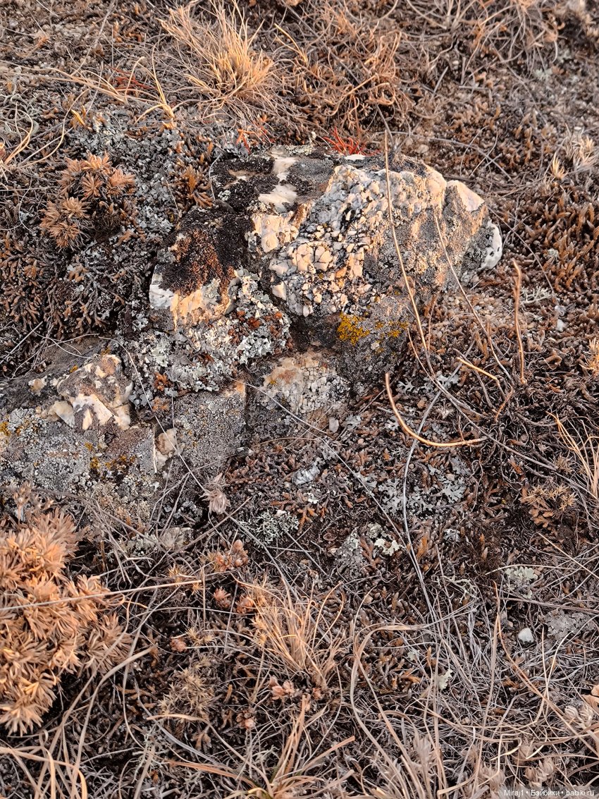 Байкал ч.2 — Туризм и путешествия: фотоотчеты из поездок (фото 2)