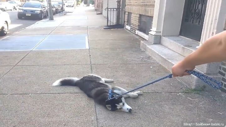 Байкал-Листвянка — Туризм и путешествия: фотоотчеты из поездок