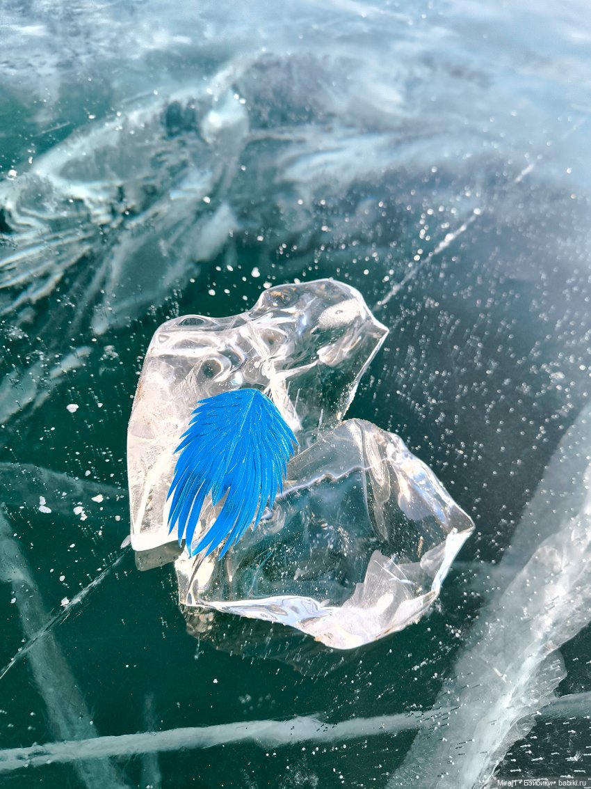 Мальчики на Байкале 3 — Куклы Momoko и Ruruko (Petworks (фото 3)