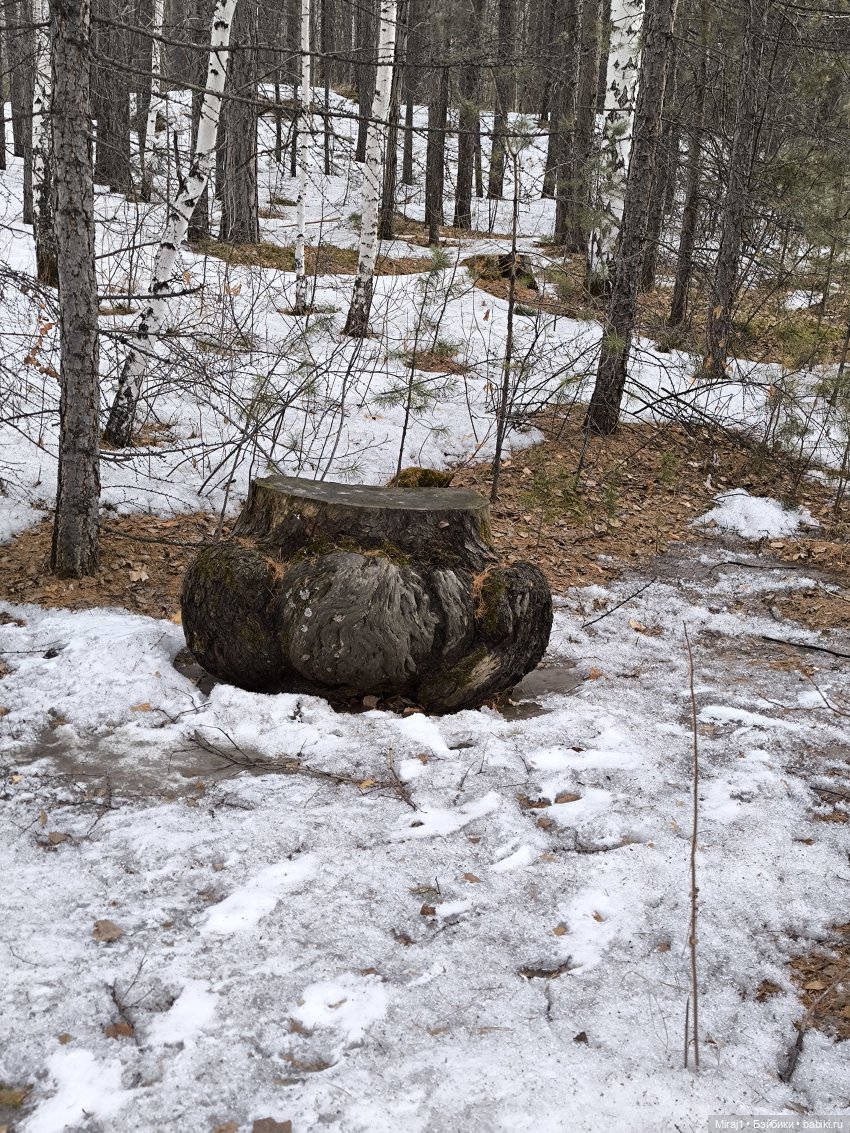 Барсик — Куклы Momoko и Ruruko (Petworks (фото 5)
