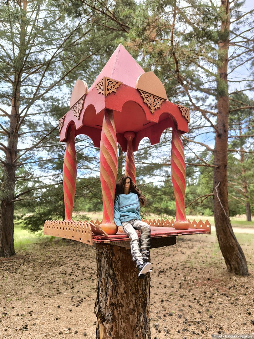 Июнь 2026 | Бэйбики Июнь 2026 — Куклы Momoko и Ruruko (Petworks (фото 10)