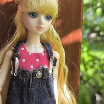 Моя коллекция J Doll-часть 25