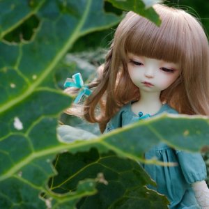 За капустным листочком