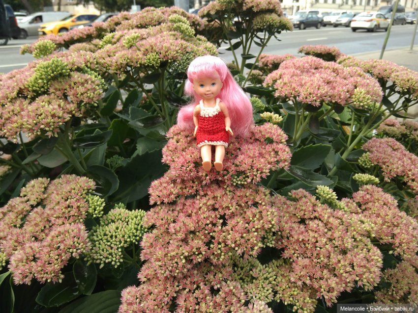 Малыши на прогулке и дома