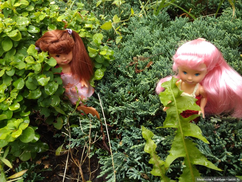 Малыши на прогулке и дома