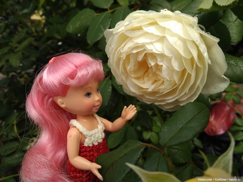 Малыши на прогулке и дома