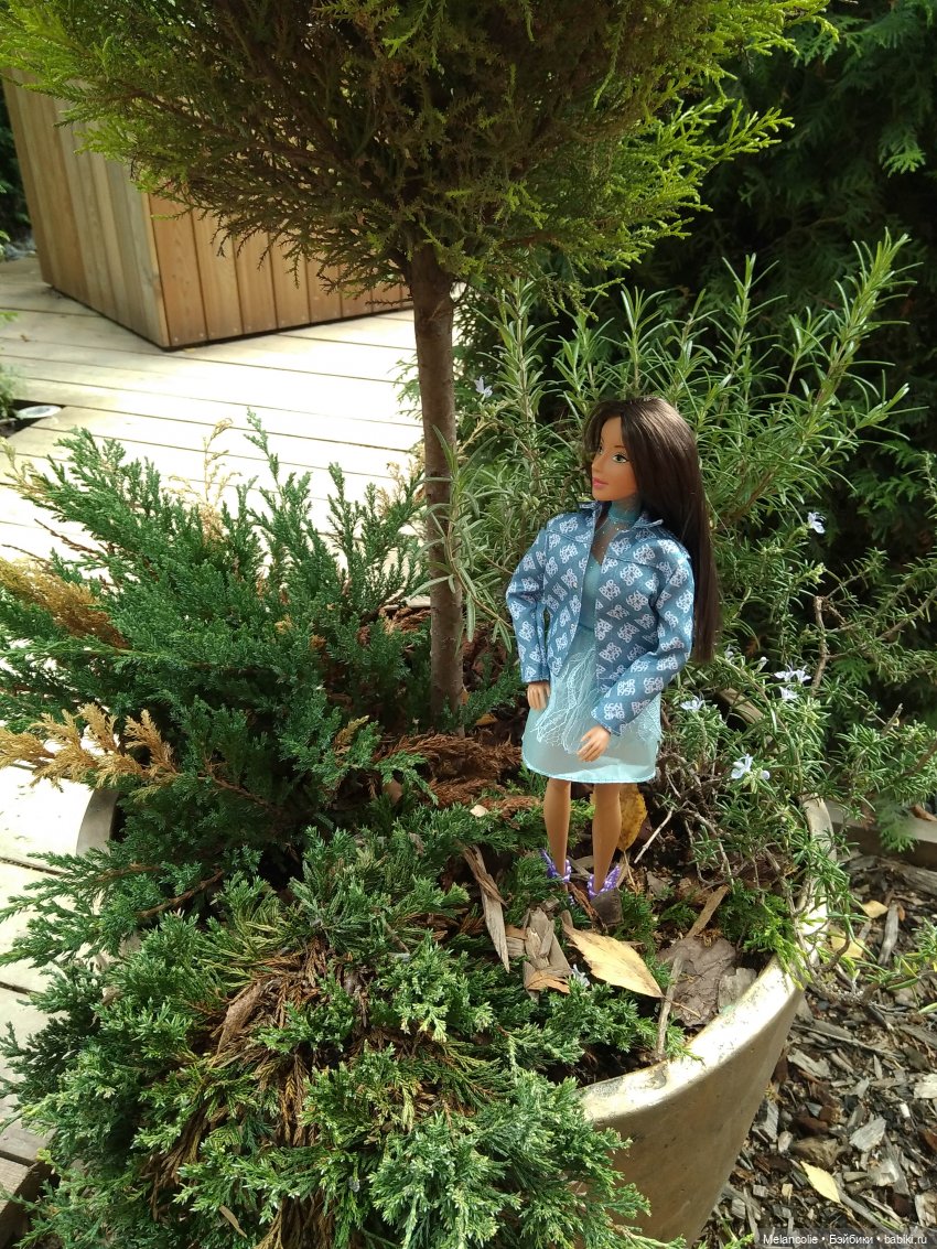 Аптекарский огород. Ч.1 — Туризм и путешествия: фотоотчеты из поездок