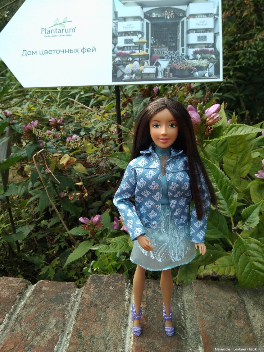 Аптекарский огород. Ч.1 — Туризм и путешествия: фотоотчеты из поездок (фото 4)