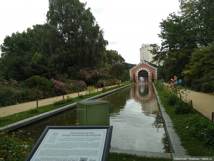 Аптекарский огород. Ч.1 — Туризм и путешествия: фотоотчеты из поездок