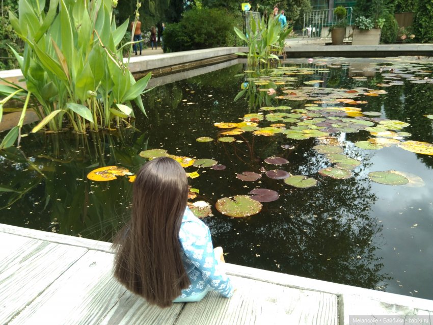 Аптекарский огород. Ч.1 — Туризм и путешествия: фотоотчеты из поездок (фото 7)