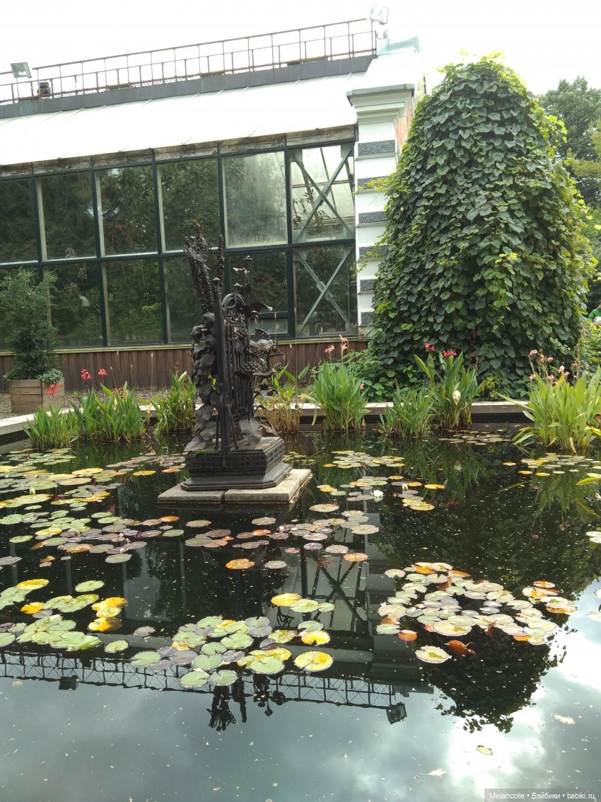 Аптекарский огород. Ч.1 — Туризм и путешествия: фотоотчеты из поездок (фото 8)