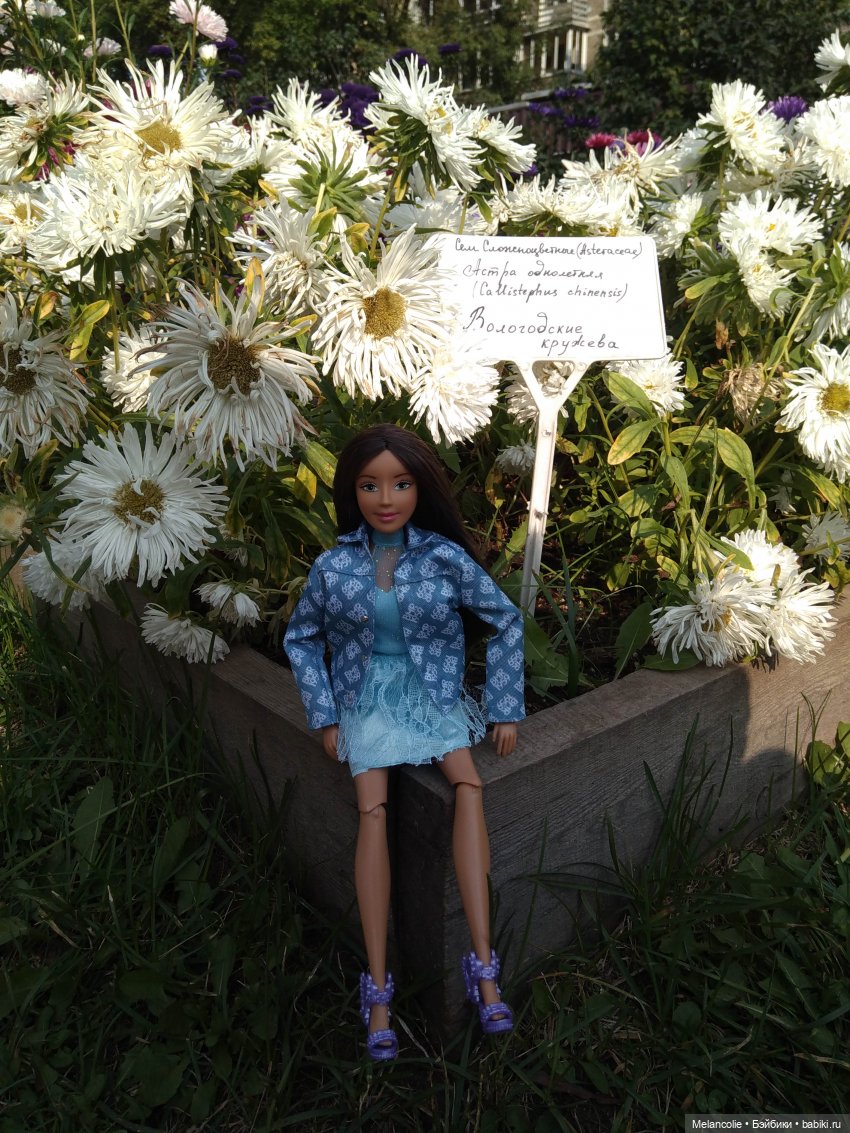 Аптекарский огород. Ч.2 — Туризм и путешествия: фотоотчеты из поездок