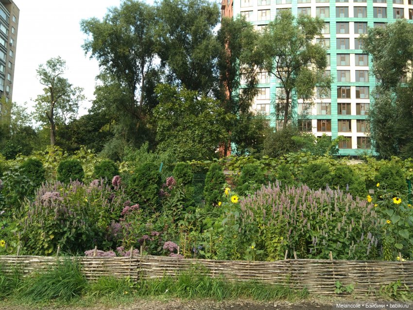 Аптекарский огород. Ч.2 — Туризм и путешествия: фотоотчеты из поездок