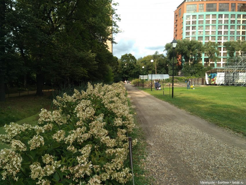 Аптекарский огород. Ч.1 — Туризм и путешествия: фотоотчеты из поездок