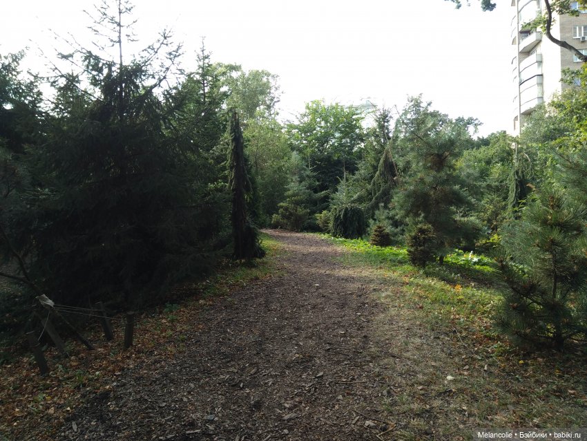 Аптекарский огород. Ч.2 — Туризм и путешествия: фотоотчеты из поездок