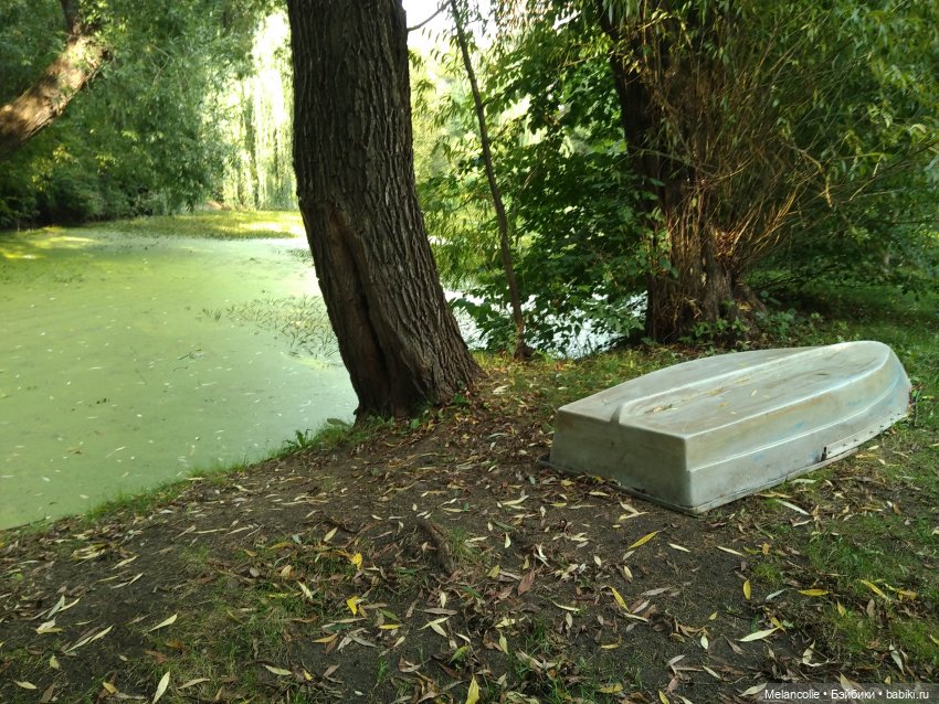 Аптекарский огород. Ч.2 — Туризм и путешествия: фотоотчеты из поездок