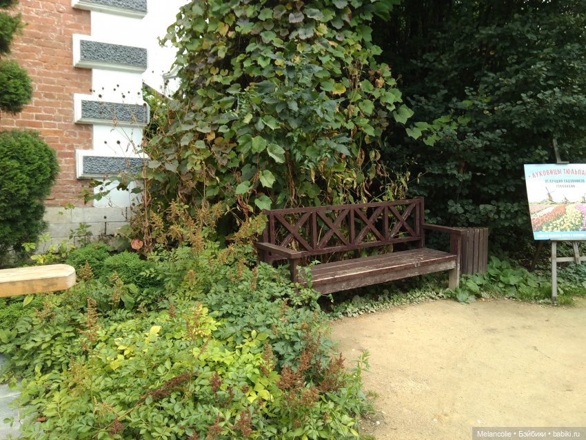 Аптекарский огород. Ч.2 — Туризм и путешествия: фотоотчеты из поездок