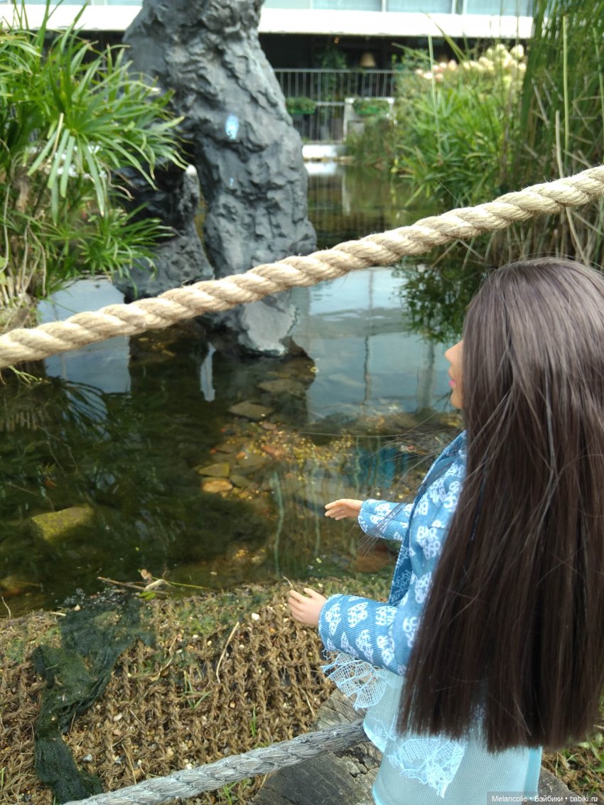 Аптекарский огород. Ч.2 — Туризм и путешествия: фотоотчеты из поездок (фото 3)