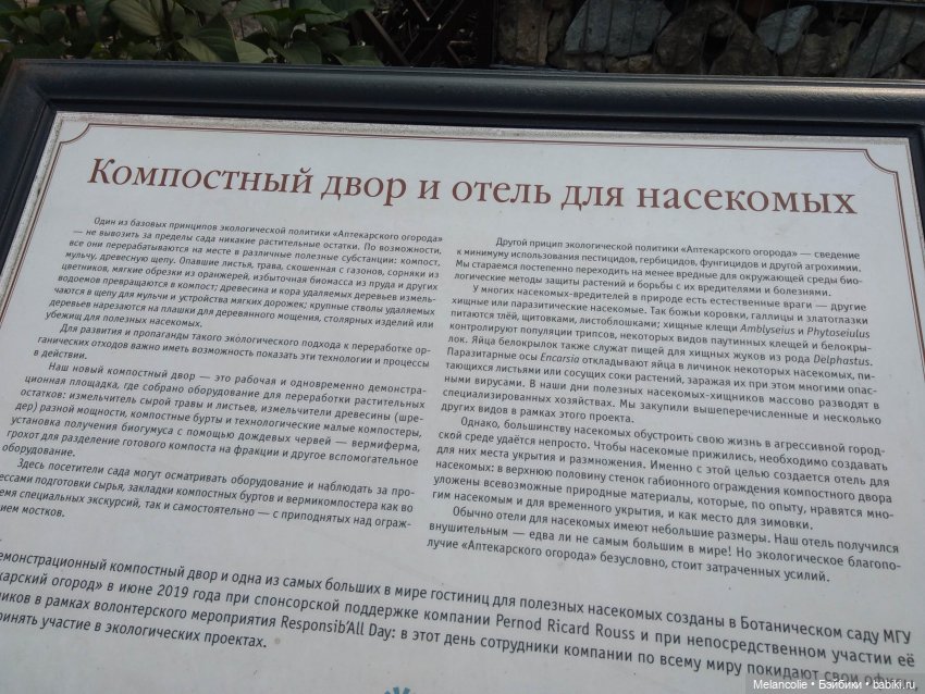 Аптекарский огород. Ч.2 — Туризм и путешествия: фотоотчеты из поездок