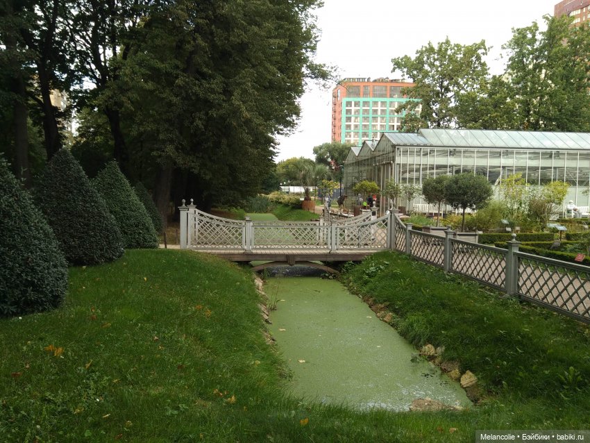 Аптекарский огород. Ч.1 — Туризм и путешествия: фотоотчеты из поездок