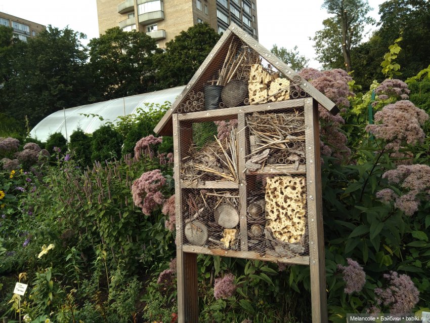 Аптекарский огород. Ч.2 — Туризм и путешествия: фотоотчеты из поездок