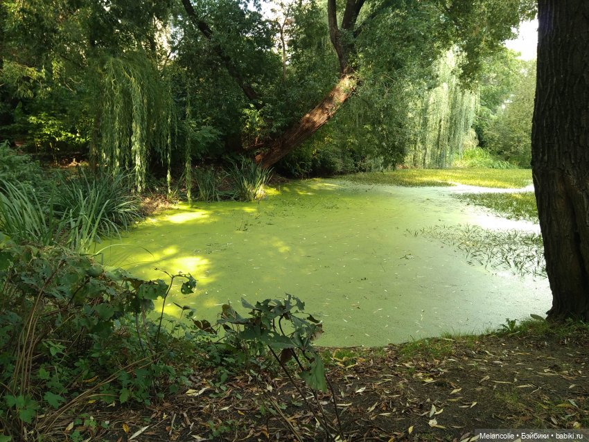 Аптекарский огород. Ч.2 — Туризм и путешествия: фотоотчеты из поездок