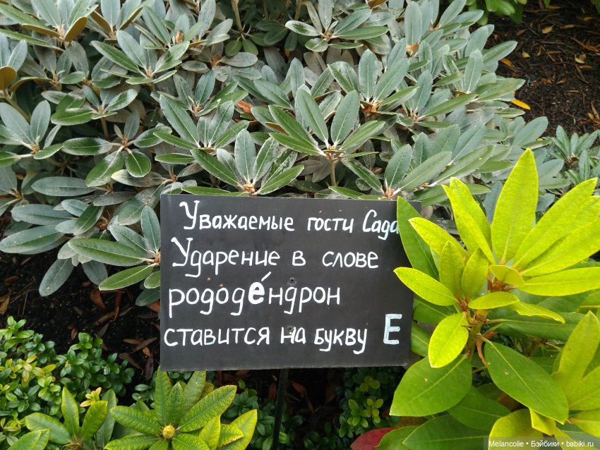 Аптекарский огород. Ч.2 — Туризм и путешествия: фотоотчеты из поездок