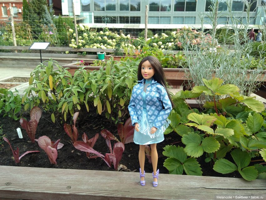 Аптекарский огород. Ч.1 — Туризм и путешествия: фотоотчеты из поездок