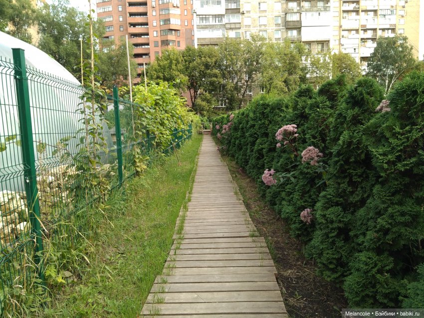 Аптекарский огород. Ч.2 — Туризм и путешествия: фотоотчеты из поездок