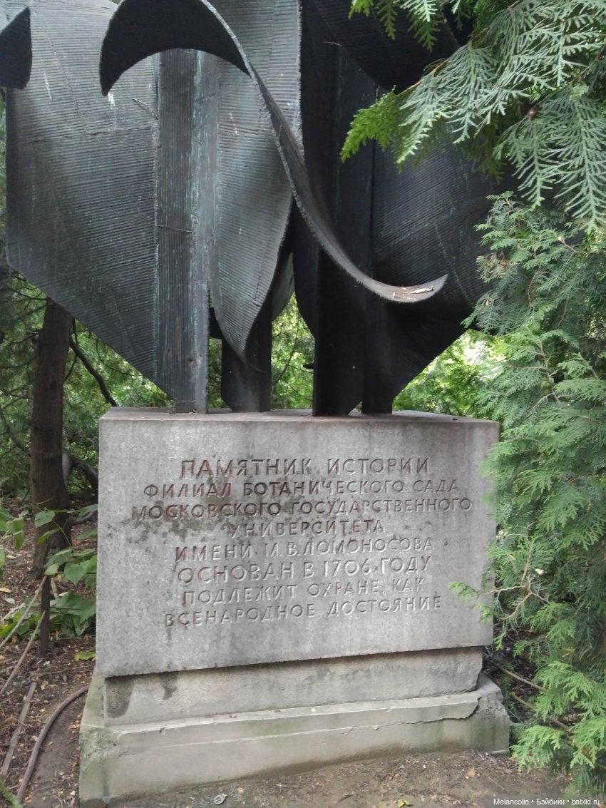 Аптекарский огород. Ч.2 — Туризм и путешествия: фотоотчеты из поездок