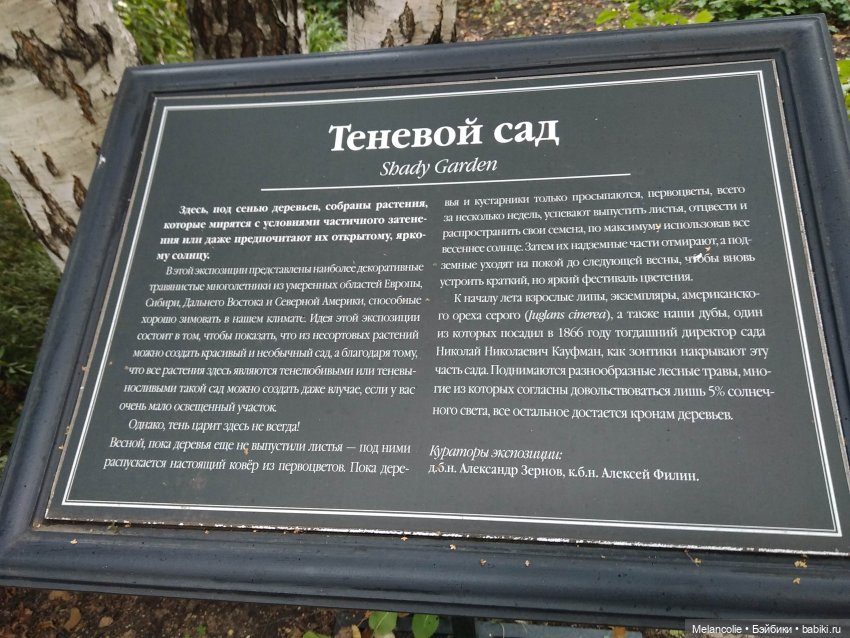 Аптекарский огород. Ч.2 — Туризм и путешествия: фотоотчеты из поездок