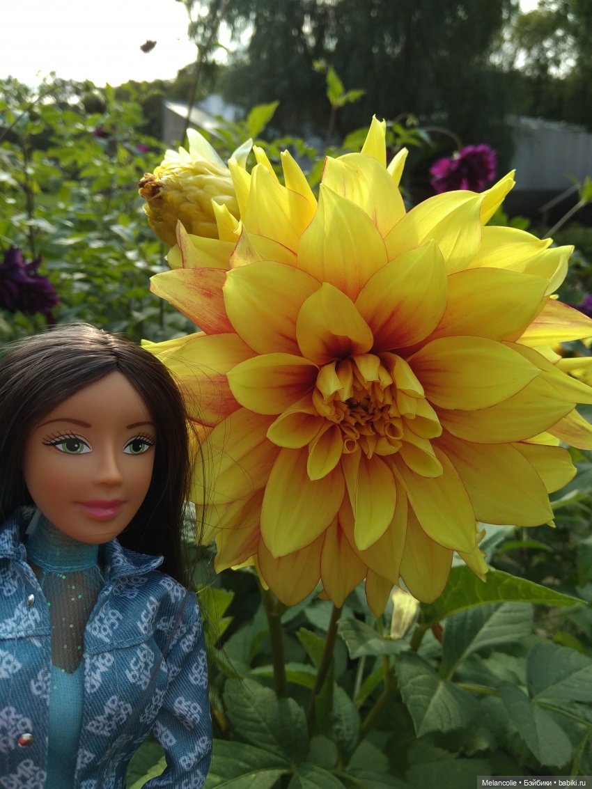 Аптекарский огород. Ч.2 — Туризм и путешествия: фотоотчеты из поездок