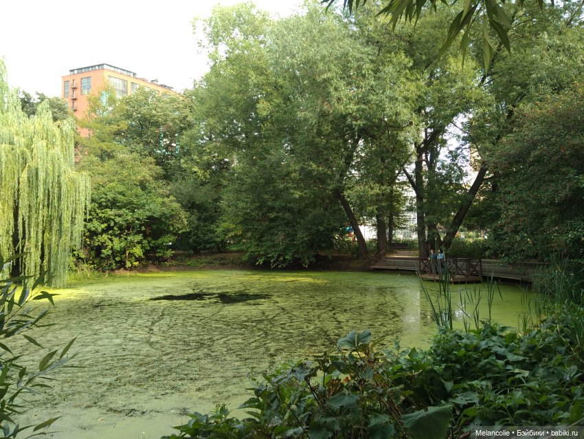 Аптекарский огород. Ч.1 — Туризм и путешествия: фотоотчеты из поездок