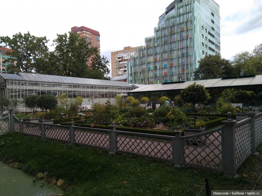 Аптекарский огород. Ч.1 — Туризм и путешествия: фотоотчеты из поездок