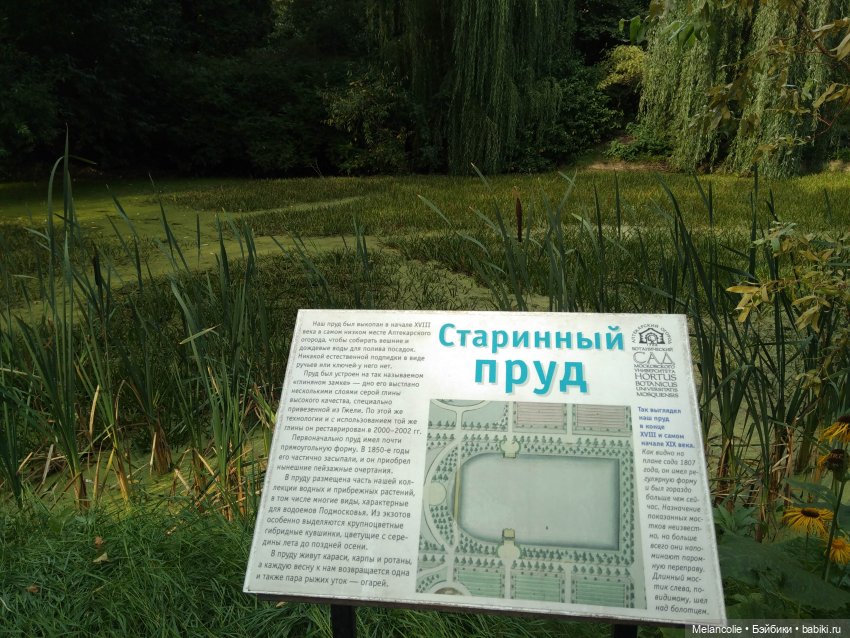 Аптекарский огород. Ч.1 — Туризм и путешествия: фотоотчеты из поездок