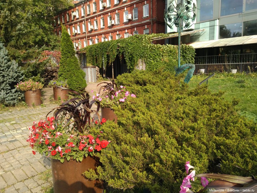 Аптекарский огород. Ч.2 — Туризм и путешествия: фотоотчеты из поездок (фото 5)