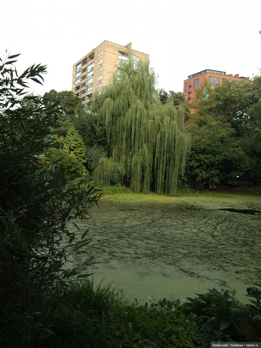 Аптекарский огород. Ч.1 — Туризм и путешествия: фотоотчеты из поездок