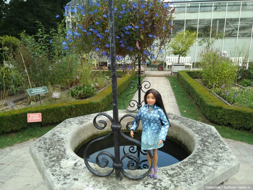 Аптекарский огород. Ч.1 — Туризм и путешествия: фотоотчеты из поездок